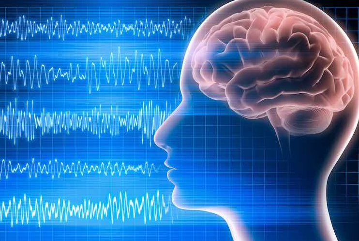 Understanding the Five Brain Waves