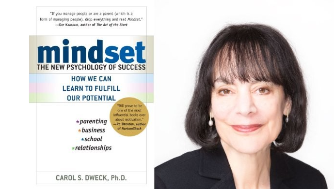  summary of the book of Mindset: The New Psychology of Success by the writer CAROL DWECK.